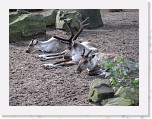 Dierentuin Burgers  Zoo 010 * 3648 x 2736 * (6.1MB)